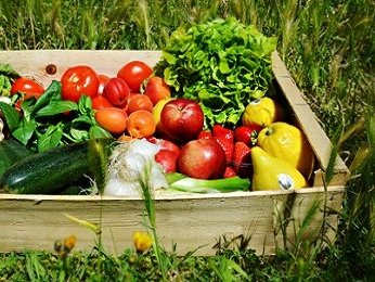 Lire la suite de Appel à candidatures de l'opération témoin "stations et exploitations Fruits & Légumes"