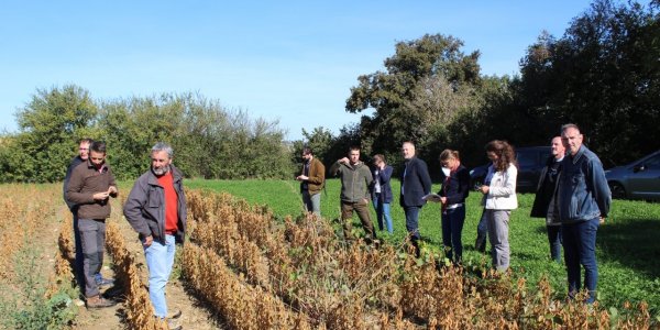 Lire la suite de Le Geda de l'Ozon se montre - L'Information agricole du Rhône
